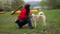 /album/individualny-vycvik/img-3849-jpg/